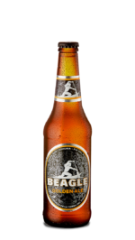 Beagle Golden